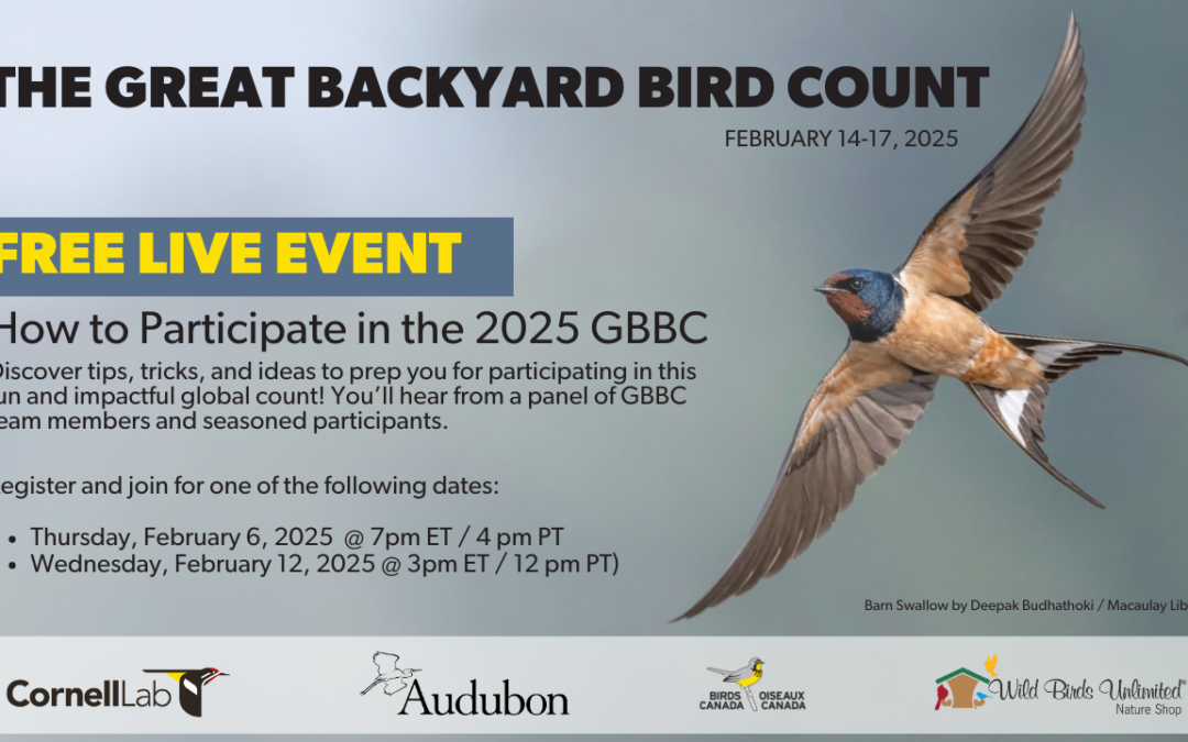 Webinar: How to Participate in the 2025 Great Backyard Bird Count