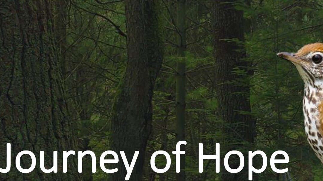 Journey of Hope: Lecture by Ian Davidson