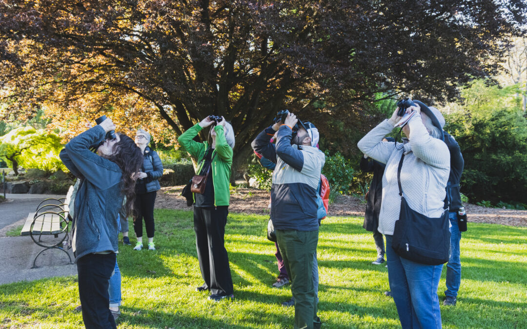 Charlotteville Brewery Bird Walk