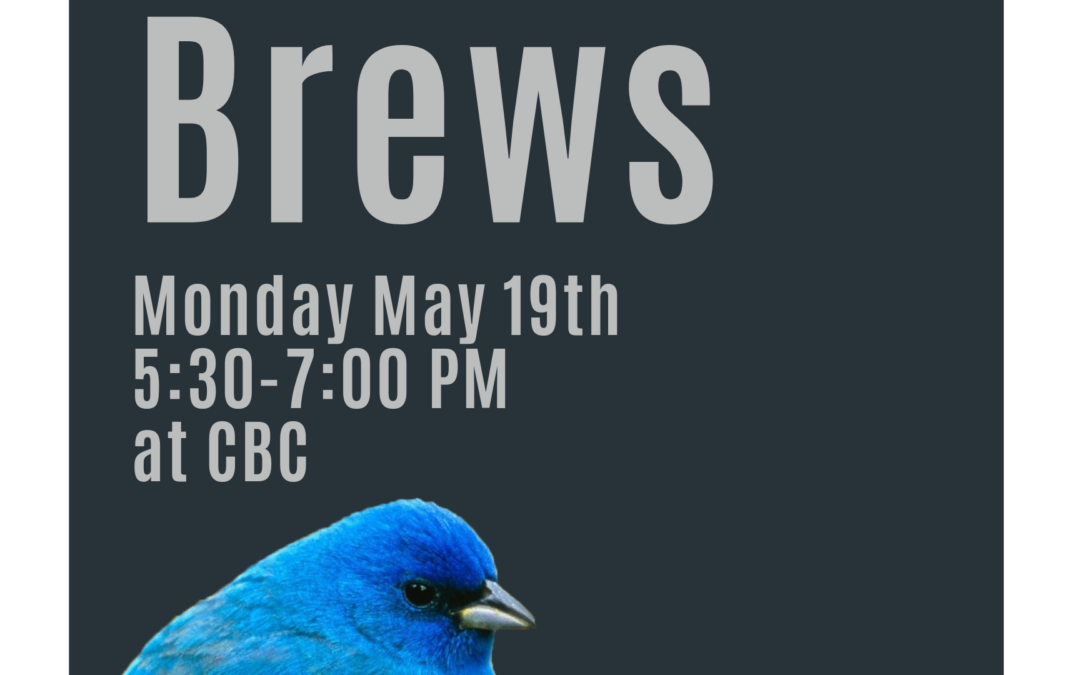 Birds & Brews