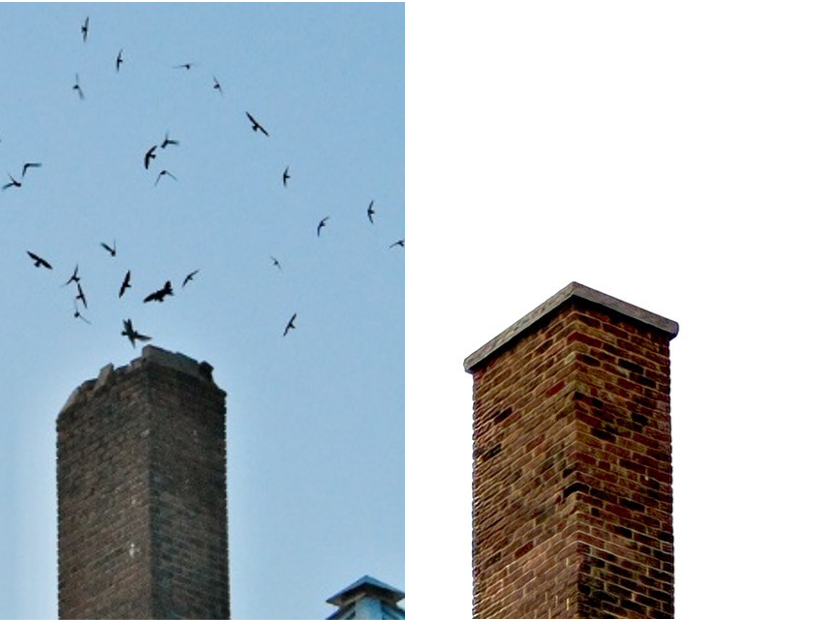 CHSW Before and After