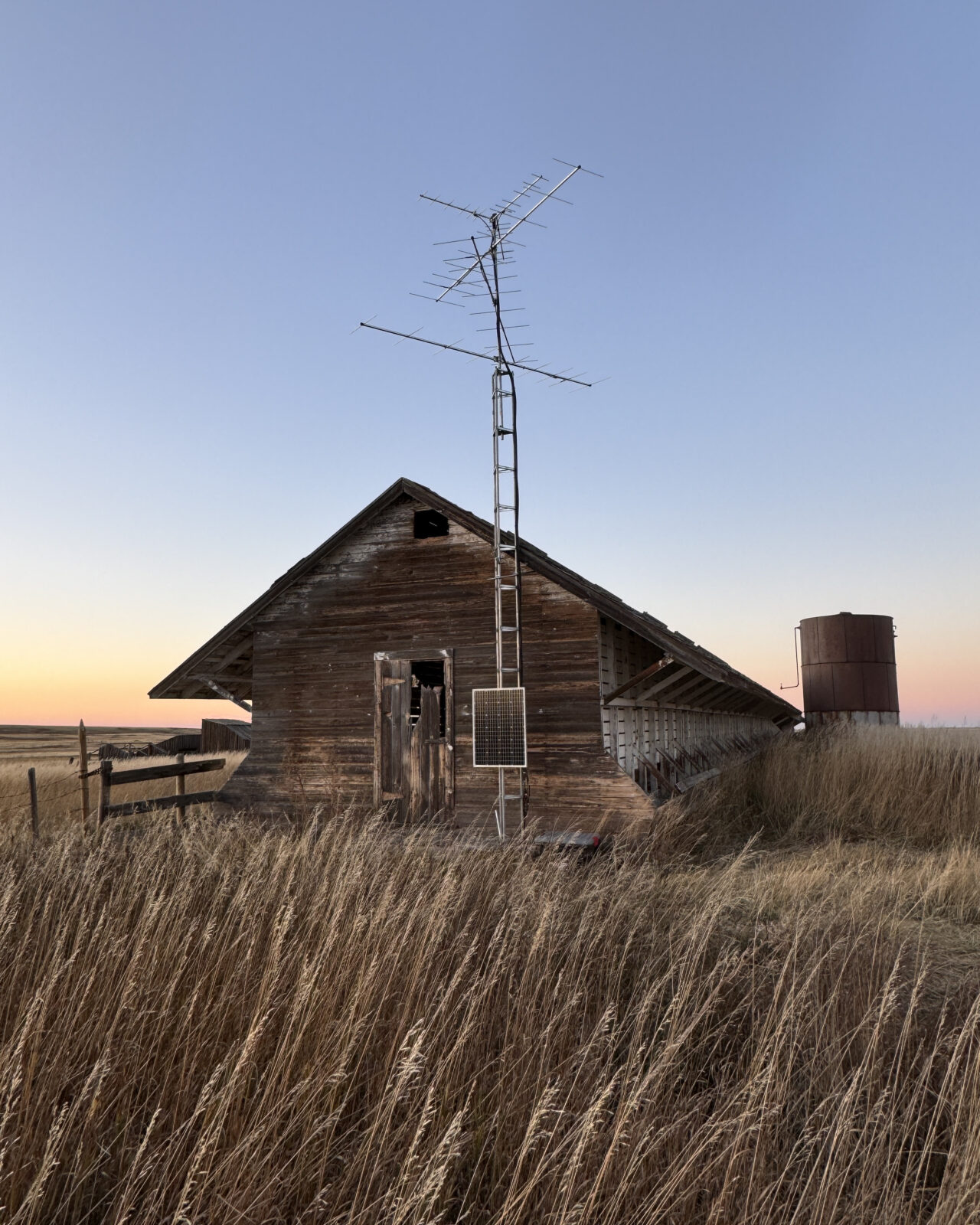 Small tags, big discoveries: Celebrating 10 years of the Motus Wildlife ...