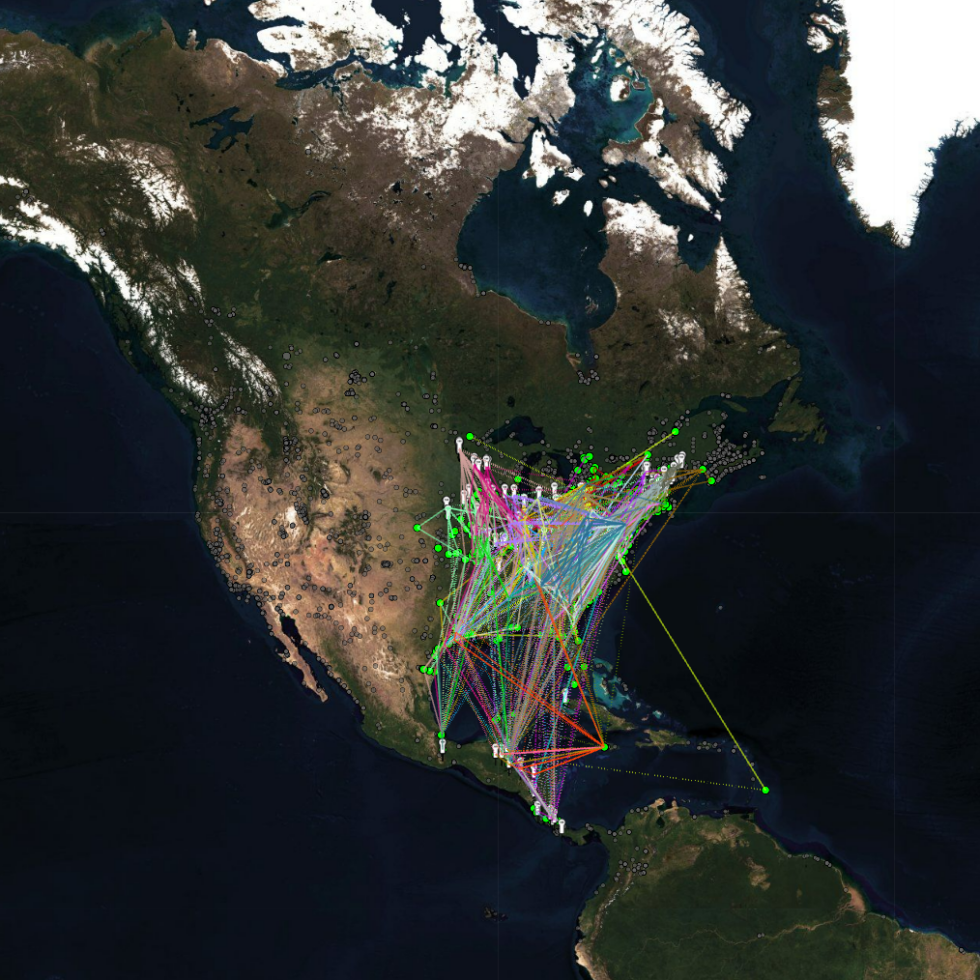 Small tags, big discoveries: Celebrating 10 years of the Motus Wildlife ...
