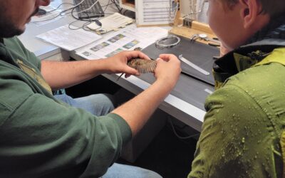 Timiskaming First Nation and Birds Canada: A Relationship Taking Flight
