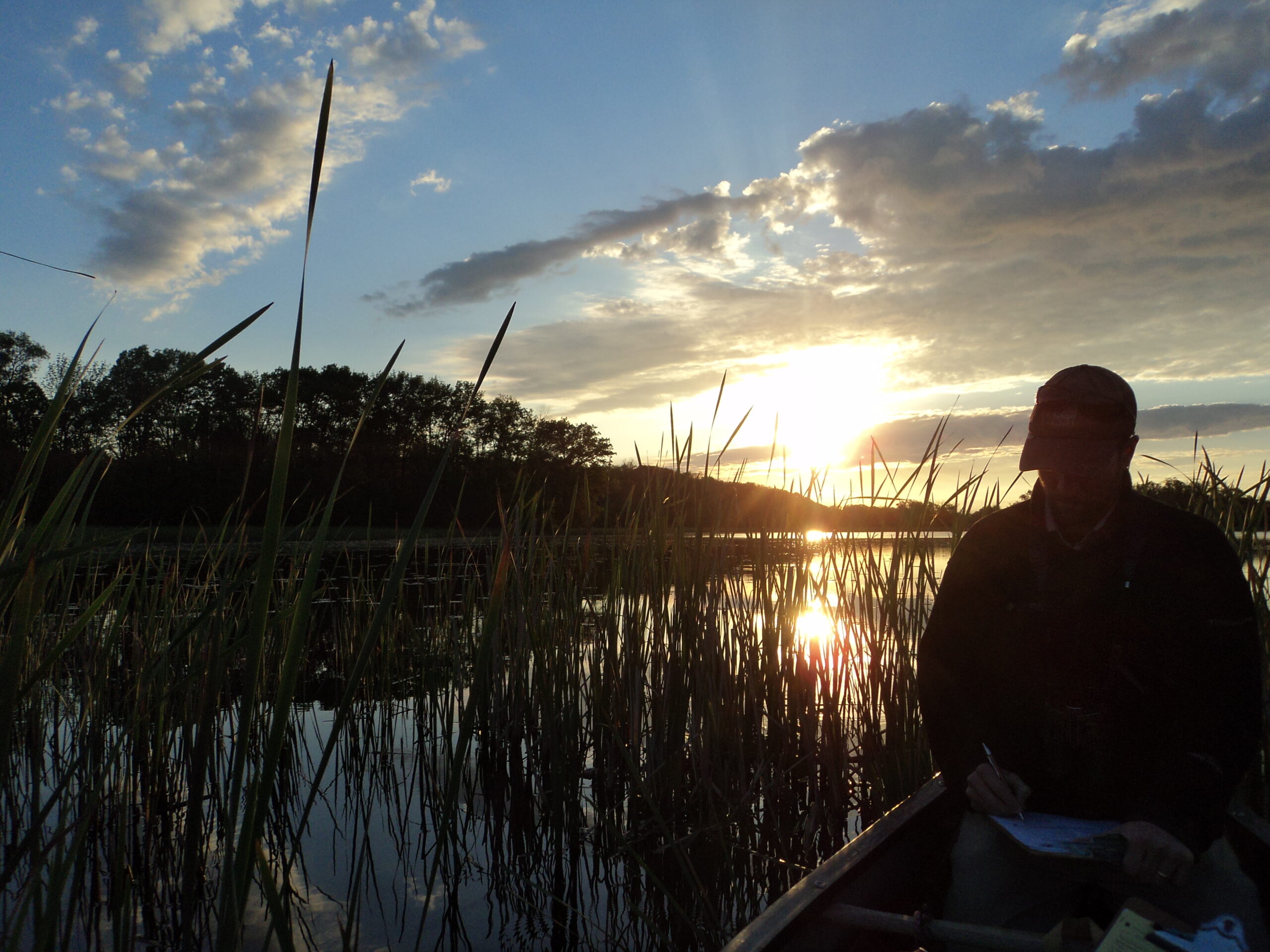Doug Tozer conducting early morning GLMMP surveys at RBG By Karla Falk