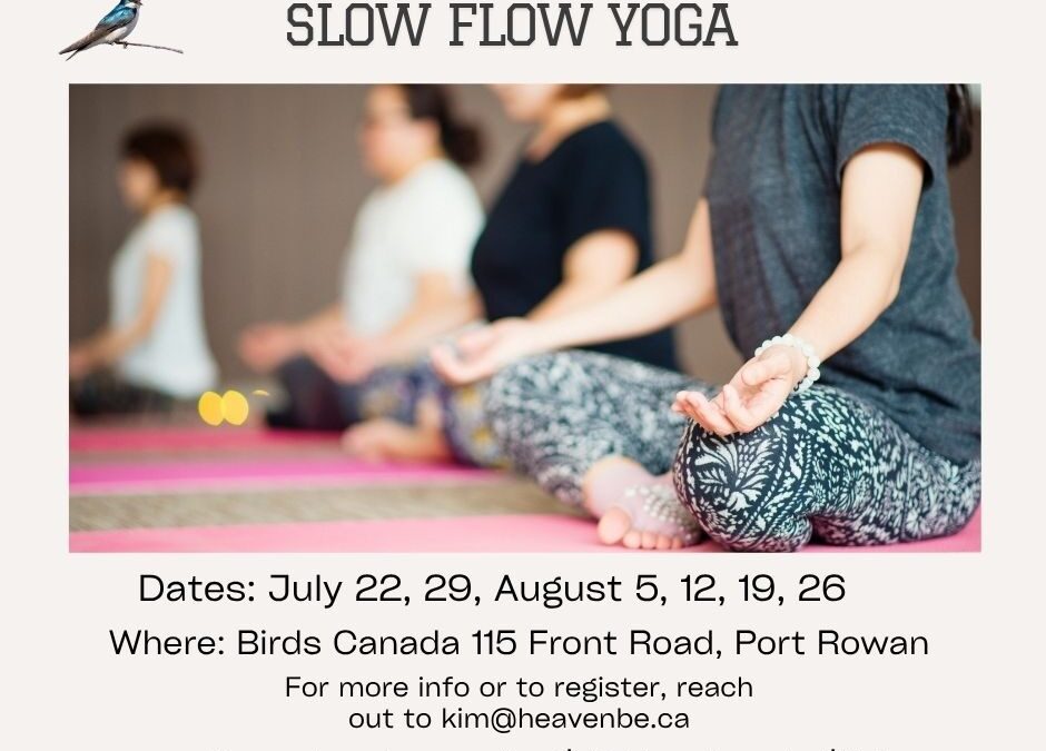 Slow Flow Yoga