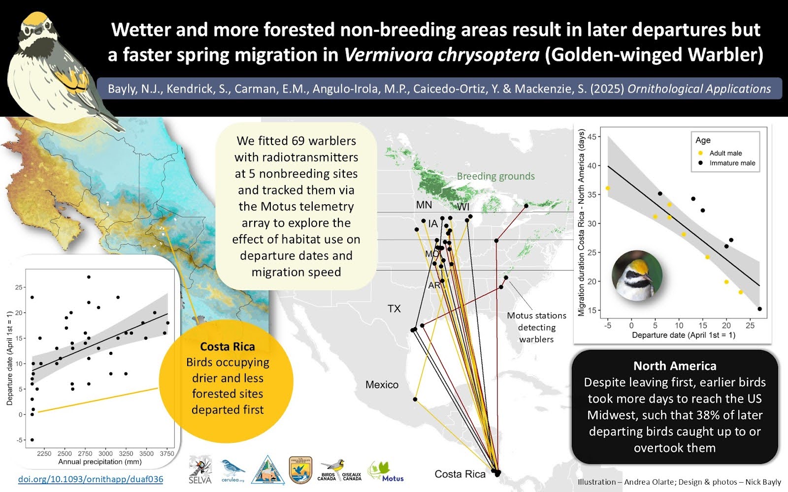 GGWA Infographic