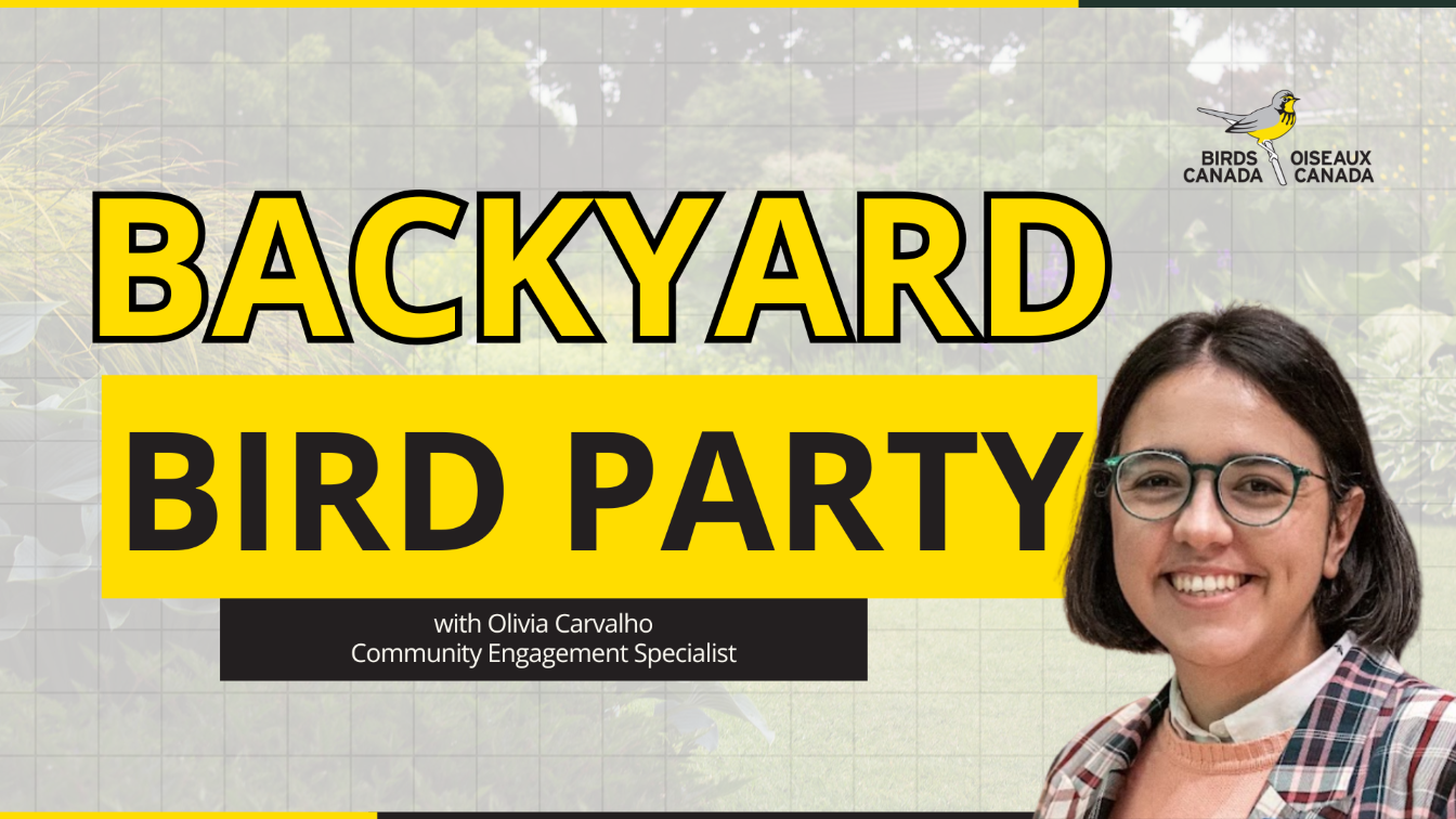 Webinar 1 Backyard Bird Party small