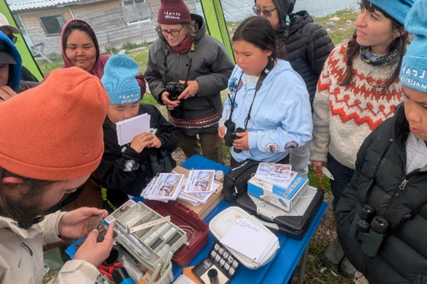Landcamp banding