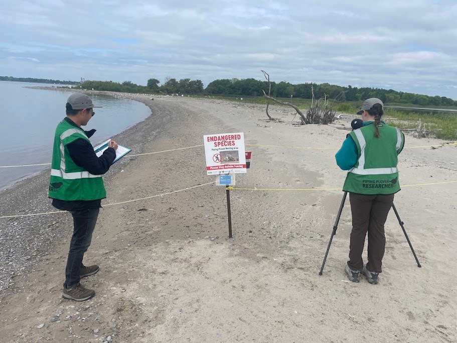 PIPL Conservation
