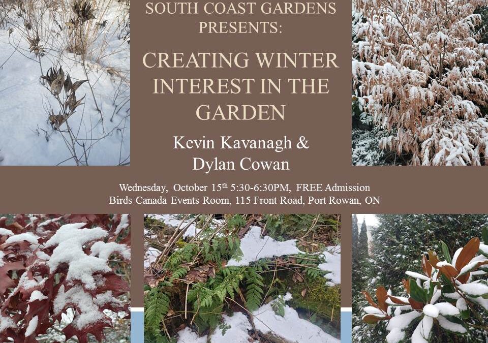Creating Winter Interest in the Garden