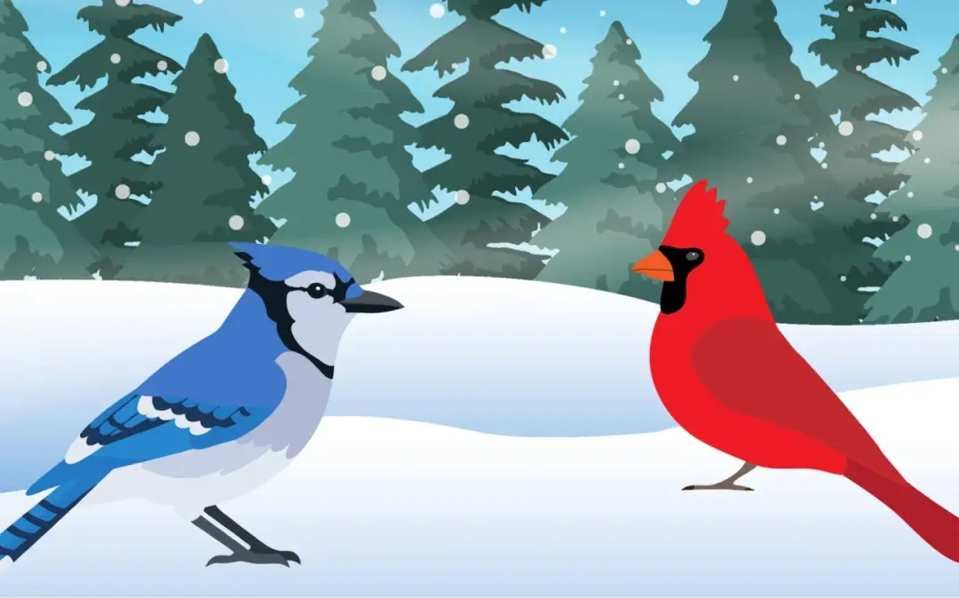 Winter Bird Count for Kids 2025