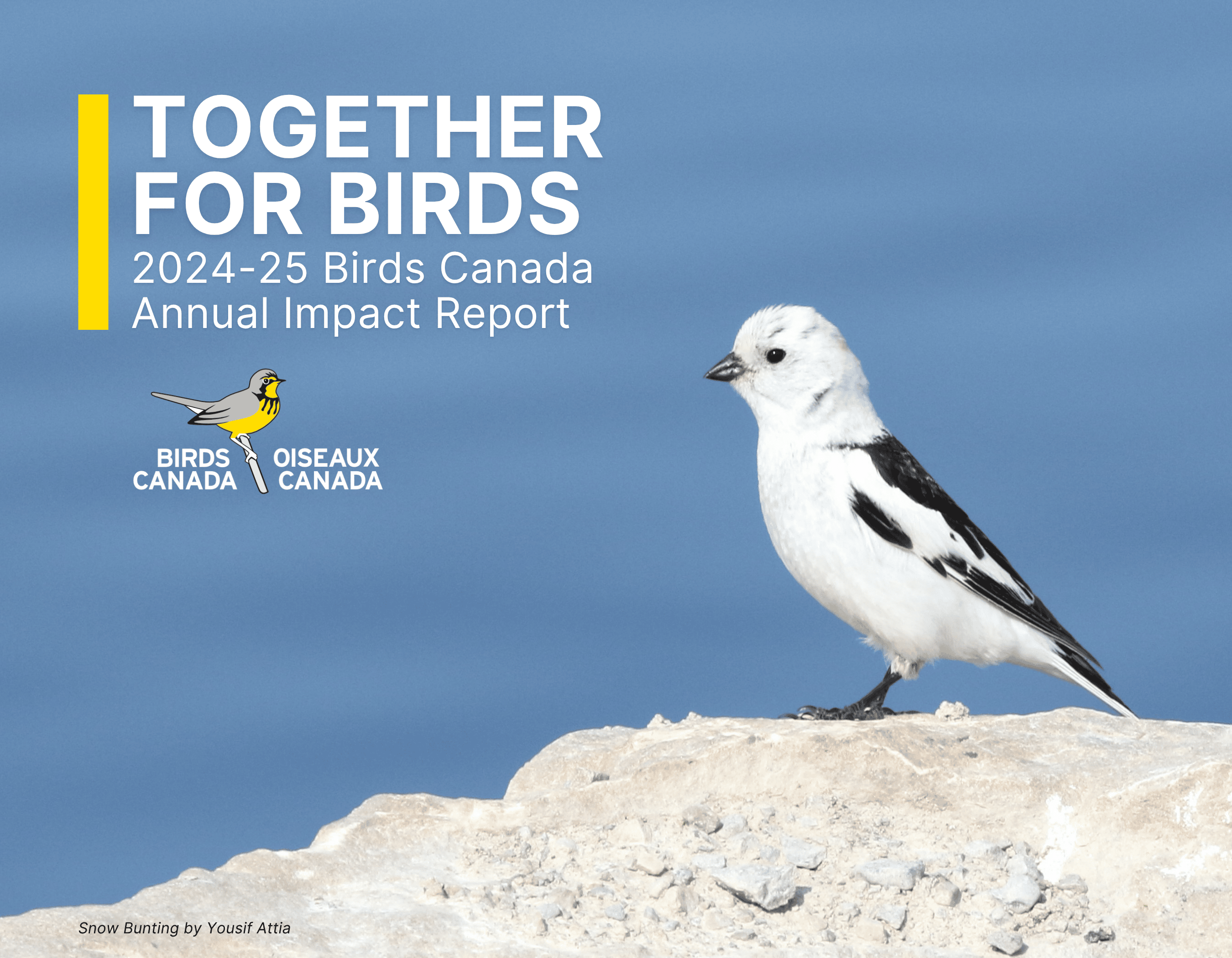 The report cover features an Olive-sided Flycatcher on a branch with the title "Looking up: Growth and Inspiration in Conservation"