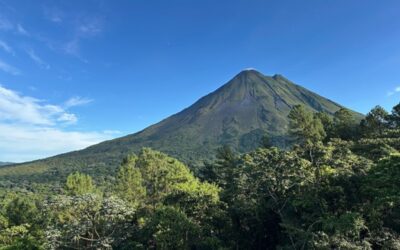 Birding Costa Rica’s Caribbean Slope with Birds Canada and Eagle-Eye Tours