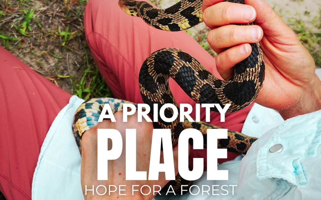 Conservation Film Night: A Screening of A Priority Place