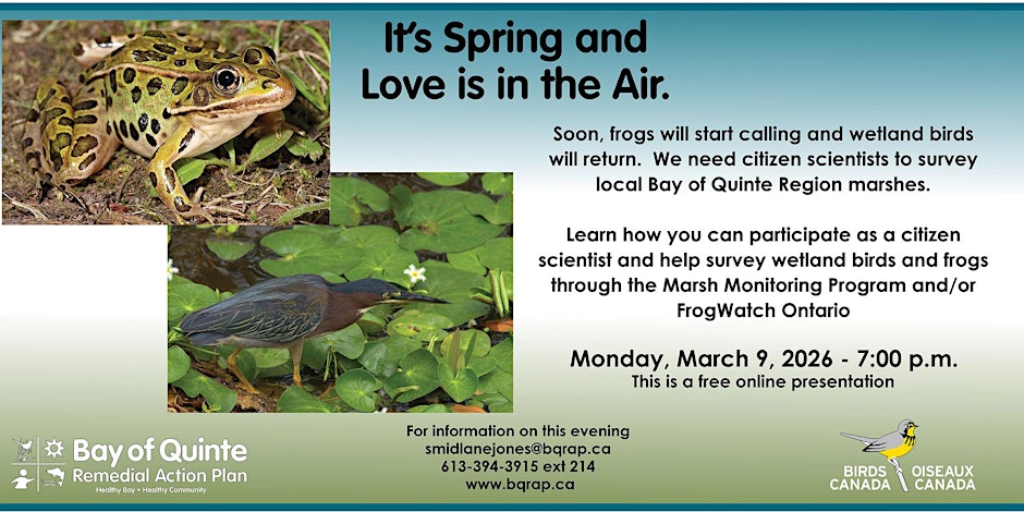 https___cdn.evbuc.com_images_1174758003_49336327618_1_original