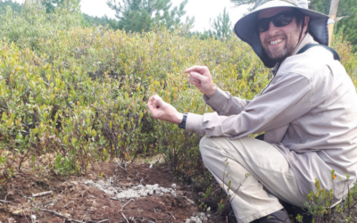 Birds Canada Scientist Recognized for Conservation Leadership