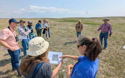 Snapshots from the Field