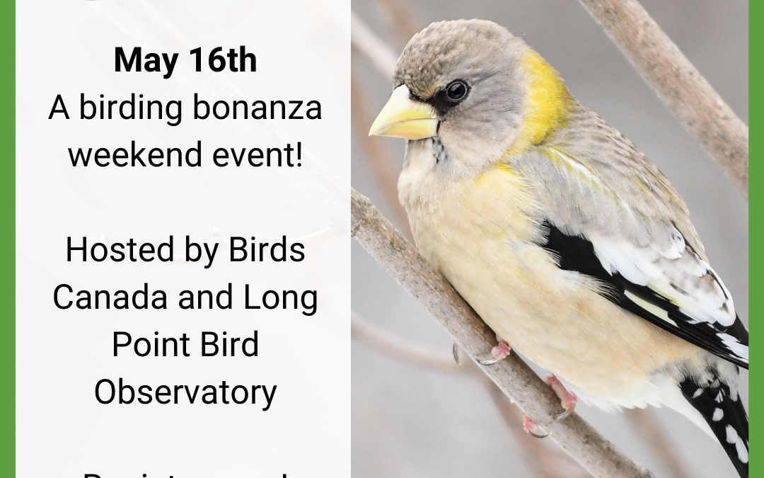 Birds Canada 50th Birdathon Event
