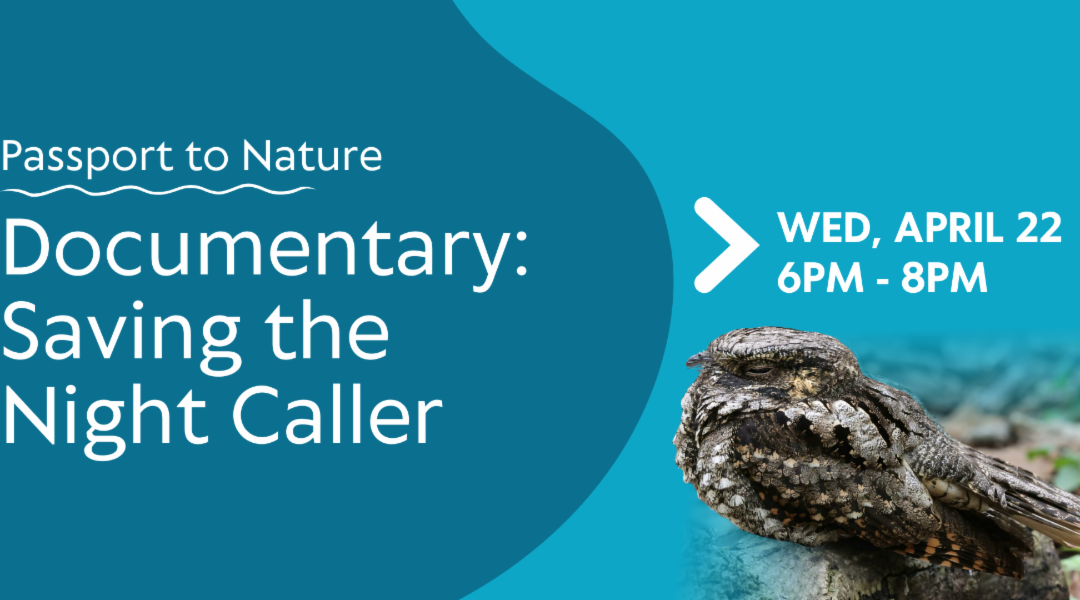Earth Day Documentary: Saving the Night Caller